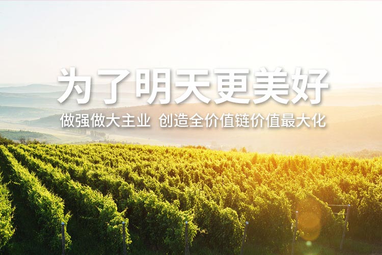中国·9888拉斯维加斯(股份)有限公司-官方网站