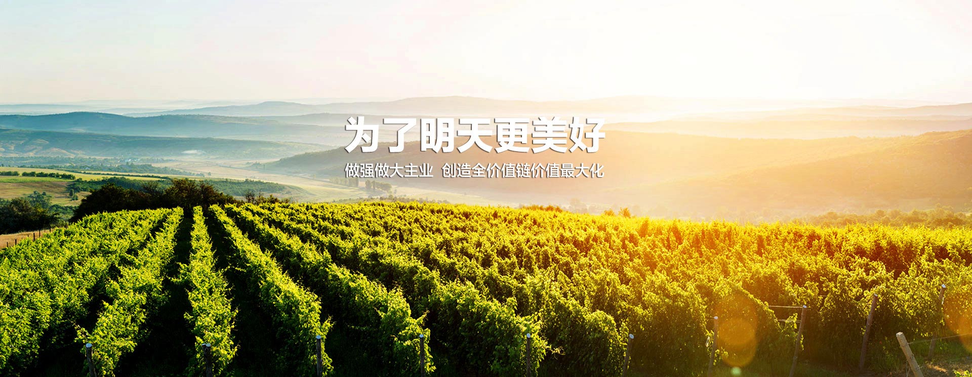 中国·9888拉斯维加斯(股份)有限公司-官方网站