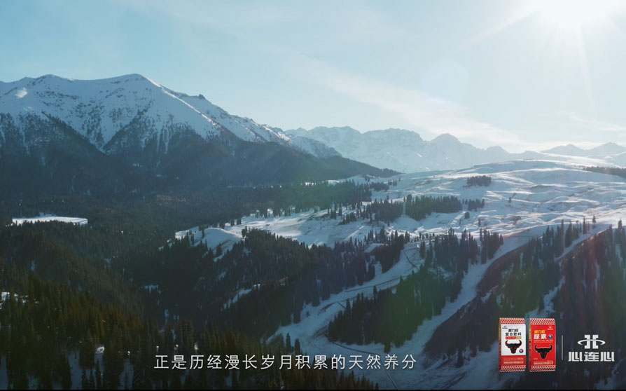 中国·9888拉斯维加斯(股份)有限公司-官方网站